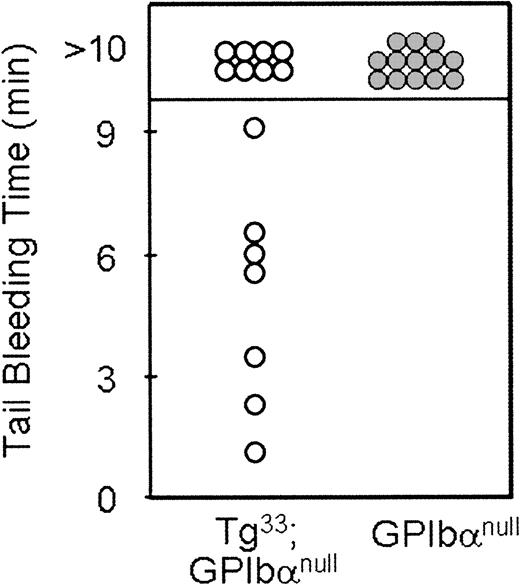 Fig. 5. Tail bleeding time assays. / Shown are the times obtained for individual GP Ibα−/−(mouse Bernard-Soulier syndrome) and Tg33(Tg33; GP Ibαnull) animals. Normal mouse bleeding times range from 1 to 3 minutes.11 Mice lacking the extracytoplasmic domain of GP Ibα have a severe bleeding phenotype even with an amelioration of the macrothrombocytopenia. These results support the in vivo relevance of the extracytoplasmic GP Ibα ligand-binding domain in normal hemostasis.