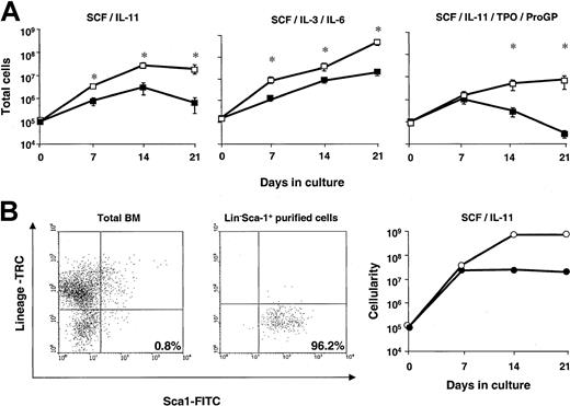 Fig. 2. Ex vivo expansion ability of Fanca-deficient bone marrow cells. / (A) Total bone marrow cells from Fanca+/+(■) and Fanca−/− (▪) cells were subjected to ex vivo expansion in the presence of 3 different combinations of growth factors. At weekly intervals, cells were counted and diluted to the input concentration (105 cells/mL). Data represent the total cell number generated by the initial 105 cells. Each point represents the mean ± SEM corresponding to 4 independent experiments. *Statistical significance betweenFanca+/+ and Fanca−/−samples at P < .05. (B) Lin−Sca-1+ cells fromFanca+/+ (○) and Fanca−/−(●) were purified and ex vivo expanded with SCF and IL-11. Cytometry histograms of bone marrow cells before and after purification of the Lin−Sca-1+ population and the ex vivo expansion kinetics following SCF and IL-11 stimulation are shown. The number in the histogram indicates the percentage of cells within the statistics quadrant.
