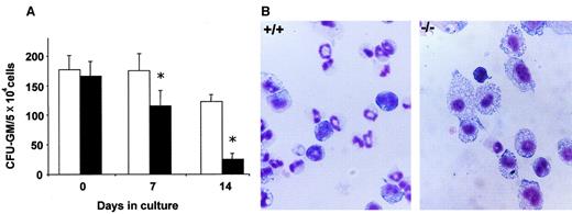 Fig. 3. Progenitors content and hematopoietic differentiation of bone marrow cells ex vivo expanded with SCF and IL-11. / (A) CFU-GM content of Fanca+/+ (■) andFanca−/− (▪) cultures. *Statistical significance between Fanca+/+ andFanca−/− samples at P < .05. (B) Microphotographs of May-Grünwald/Giemsa staining of bone marrow cytospins from Fanca+/+ andFanca−/− after 14 days in culture. Original magnification, × 600.