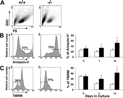 Fig. 4. Analysis of apoptotic cells in bone marrow expanded ex vivo with SCF and IL-11. / The figure shows a representative analysis of the scatter properties (A), annexin-V (B), and TMRM (C) analysis ofFanca+/+ and Fanca−/−BM cultured for 14 days. The kinetics in the proportion of apoptotic cells in the culture is also shown. ■ indicateFanca+/+ cells; ▪,Fanca−/− cells. Data represent the mean ± SE corresponding to 4 independent cultures from 4 different animals. *Statistical significance between Fanca+/+ andFanca−/− samples at P < .05. SSC indicates side scatter; FS, forward scatter.