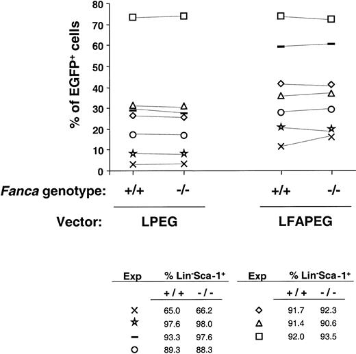 Fig. 5. Comparison of the transduction efficiency in Lin−Sca-1+ progenitors fromFanca+/+ and Fanca−/−mice. / The figure represents the percentage of EGFP expression after transduction with either LPEG or LFAPEG vectors. Each experiment is represented by a different symbol. The purity of the Lin−Sca-1+ population that was subjected to transduction in each experiment is also shown.