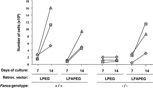Fig. 7. Correction of the in vitro growth properties of Lin−Sca-1+ Fanca−/−progenitors by retroviral vectors encoding the human FANCAgene. / The figure represents the cellularity of cultures initiated with 5 × 103 Lin−Sca-1+ cells that had been transduced with EGFP-encoding (LPEG) orFANCA/EGFP-encoding (LFAPEG) vectors and stimulated with SCF and IL-11. Each symbol represents individual data from 3 independent experiments.