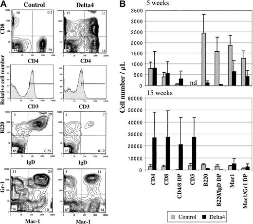 Fig. 3. Effect of Delta4 on B-cell and T-cell development. / Expression of Delta4 impairs B-cell development and leads to occurrence of CD4+CD8+ T cells in the peripheral blood. White blood cells were isolated and stained with fluorochrome-conjugated antibodies to CD4, CD8, CD3, B220, immunoglobulin D (IgD), Mac1, Gr-1, and CD45.1. (A) Representative FACS contour blots and histograms are shown for staining of WBC cells from one Delta4-transduced and one control mouse 15 weeks after bone marrow transplantation. The numbers indicate the percentage of cells within each quadrant. (B) The average number of positive cells for the cell populations indicated is shown for Delta4-transduced and control mice at week 5 (MSCVpac, n = 5; MSCVpac-Delta4, n = 5) and 15 (MSCVpac, n = 4; MigR, n = 2; MSCVpacDelta4, n = 2; MigRDelta4, n = 2) after BMT. Error bars represent the SD.