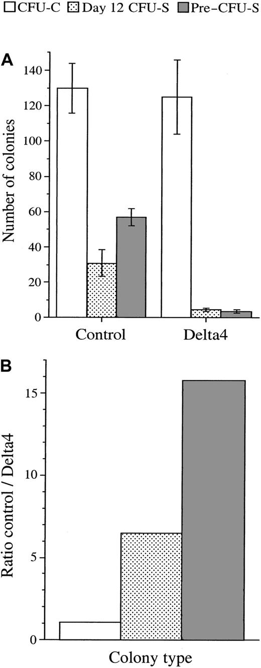 Fig. 6. Effect of Delta 4 expression on the development of early stem cells. / Delta 4 expression impairs the development of early stem cells (day-12 CFU-Ss and pre–CFU-Ss). (A) The CFU-C, day 12 CFU-S, and pre–CFU-S colonies were generated from the Lin− bone marrow cells infected with the control viruses or the viruses carrying Delta4. The CFU-C colony numbers are the mean values (± SE) resulting from 7 independent experiments using the control viruses or the viruses carrying the full-length Delta4 (n = 2 for pMSCV; n = 5 for MigR). The average percentage of puromycin-resistant or GFP+colonies was 74% ± 12% for the control viruses and 76% ± 9% for the Delta4 viruses. Only puromycin-resistant or GFP+colonies were counted. The numbers of CFU-S colonies are the mean values (± SE) obtained from 2 independent experiments, each using 5 mice injected with 6000 Lin− bone marrow cells transduced with pMSCVpac (n = 5) or MigR (n = 5) viruses. The number of GFP+ CFU-S colonies assayed in one experiment (data not shown) and the total number of CFU-S colonies (data shown) gave similar results. The pre–CFU-S colony numbers are the mean values (± SE) generated from the injection of 8 mice with 100 000 bone marrow cells collected from the femurs of 5 recipient mice 12 days after being injected with 6000 Lin− cells infected with the pMSCVpac viruses. (B) The ratios between the number of colonies generated from the Lin− bone marrow cells infected with the control viruses or the Delta4 viruses are generated from panel A. They indicate the effect of Delta4 expression on the number of colonies generated from CFU-Cs, CFU-Ss, and pre–CFU-Ss.