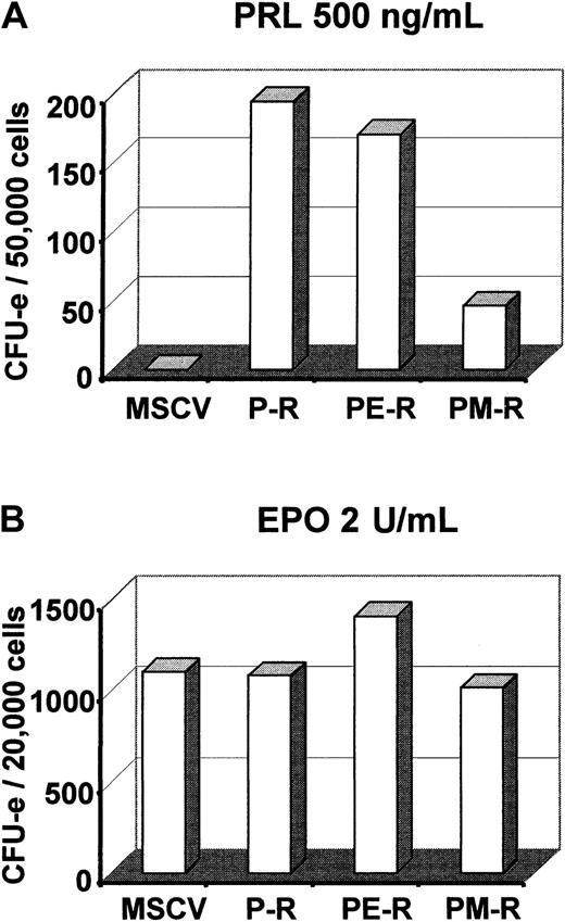 Fig. 2. PM-R receptor does not efficiently support CFU-e colony formation in the presence of PRL. / Day-12.5 fetal liver hematopoietic progenitors were infected with MSCV retroviruses encoding the various receptors (P-R, PE-R, and PM-R). (A) 5 × 104 cells were cultured in duplicate in methylcellulose medium with 500 ng/mL ovine prolactin and no EPO. (B) 2.104 cells were cultured with 2 U/mL EPO. Colonies were scored 2 to 3 days later. The result of 1 experiment, representative of 3 independent experiments, is shown.