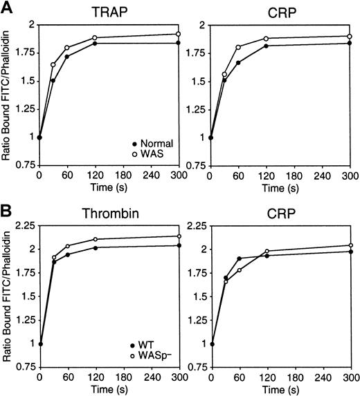 Fig. 2. Platelets assemble actin normally in the absence of WASp. / (A) Platelets isolated from a healthy human volunteer (●) and WAS patient P34 (○) were activated with 25 μM TRAP or 3 μg/mL CRP. (B) Platelets from wild-type (●) and WASp-deficient (○) mice were activated with 1 U/mL thrombin or 3 μg/mL CRP. Platelets were fixed with 3.4% formaldehyde, extracted with 0.1% Triton X-100 in PHEM buffer containing 2 μM FITC-phalloidin, and analyzed by FACS. Results shown are expressed as the ratio between the fluorescence of activated cells versus resting cells and are representative of 3 to 4 experiments.