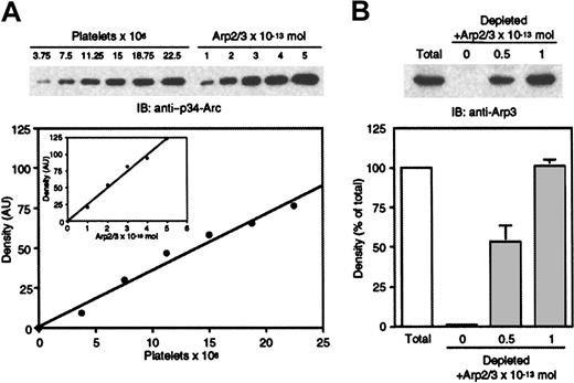 Fig. 3. Platelet Arp2/3 complex level. / (A) Increasing numbers of human platelets were compared to known amounts of purified Arp2/3 complex by SDS-PAGE and probed with a rabbit polyclonal antibody directed against the p34-Arc subunit of Arp2/3 complex. The graph plots the density of the detected bands against the platelet counts and the amount of purified Arp2/3 complex (inset) obtained from a single immunoblot. The amount of Arp2/3 complex divided by the platelet count was determined as the ratio between first-order equation slopes best fitting the data. Human platelets contain 14.3 × 10−21 mol Arp2/3 complex. (B) Lysates corresponding to 7 × 106 platelets (■) were compared by anti-Arp3 immunoblot to their Arp2/3 complex-depleted counterparts complemented or not with 0.5 and 1 × 10−13 mol purified Arp2/3 complex (░). The amount of Arp2/3 complex was quantified by densitometric analysis of the immunoblots. The histogram plots the percentage ± SD of the density relative to total from 3 independent assays.