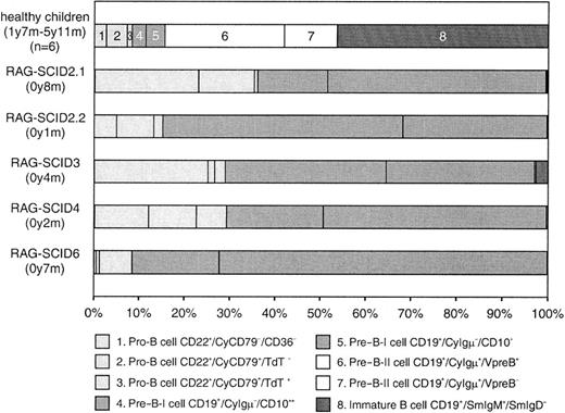 Fig. 3. Composition of the precursor B-cell compartment in RAG-deficient SCID patients compared with healthy children. / The precursor B-cell compartment was set at 100% after exclusion of CD10−/SmIgM+/SmIgD+ mature B cells.28 All RAG-deficient SCID patients showed a similar differentiation arrest with approximately 99% of the precursor B cells in the pro-B and pre–B-I stages (stages 1-5), thereby revealing an arrest at the transition from CyIgμ− pre–B-I (stages 4 and 5) to CyIgμ+ pre–B-II-cells (stages 6 and 7, white bars). Only in SCID-3 was some leakiness observed with more than 3% Ig+ B cells. These Ig+ B cells were mainly SmIgM+ immature B cells (stage 8, dark bar), which is also shown in Figure 2B. The age of BM sampling is indicated.