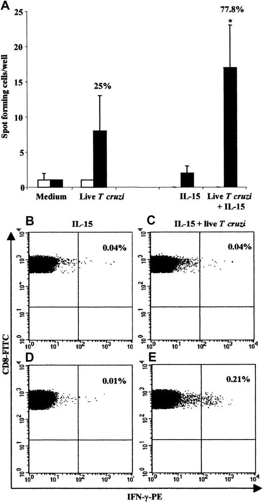 Fig. 3. Frequency of responding cells measured by the IFN-γ Elispot assay and the intracellular IFN-γ content in CD8 T cells. / (A) For Elispot analysis, CBMCs from 17 uninfected (■) and 12 congenitally infected (▪) newborns were stimulated or not with liveT cruzi in the presence or absence of IL-15 (n = 12 and n = 9 in uninfected and infected neonates, respectively). The percentage of positive responses in congenitally infected newborns is indicated above the histograms. *P < .05 vs IL-15 alone (Student test). Visualization of intracellular IFN-γ content in CD8 T cells in one uninfected (B and C) and one congenitally infected newborn (D and E) is also shown. CBMCs were stimulated with IL-15 alone (B and D) or with both IL-15 and liveT cruzi (C and E). Analyses were performed within the CD8 T-cell subset. The percentage of IFN-γ–positive cells is indicated in the upper right quadrant. Two other congenitally infected newborns were tested, resulting in 1 of 2 positive responses.