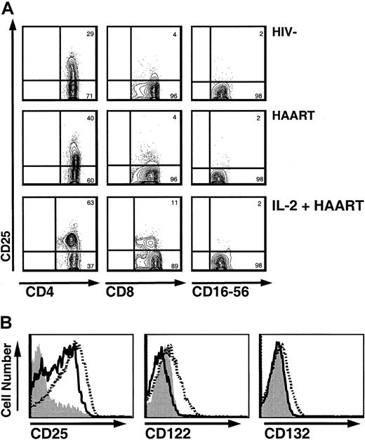 Fig. 1. Intermittent IL-2 administration leads to persistent increased CD25 expression on T lymphocytes, with transient increases in the expression of CD122 and CD132 during cycles of IL-2. / (A) CD25 expression on T cells and NK cells in HIV−controls, HIV+ patients treated with HAART, and HIV+ patients treated with HAART and IL-2 (contour plots). Gating was done in CD3+/CD4+ and CD3+/CD8+ in the lymphocyte gate for CD4+ and CD8+ T cells, respectively, and in CD3−/CD16+-56+ for NK cells. In IL-2–treated patients, very distinct CD4+/CD25+ populations were observed. Of note, a slightly decreased fluorescence intensity for CD4 was observed in the CD25+ cells. (B) Increase in CD25 expression on CD4+ T cells accompanied by transient but not persistent increases in CD122 and CD132 expression. Histograms for CD4+ T cells of an IL-2–treated patient before initiation of IL-2 therapy (solid gray), at the end of an IL-2 cycle (broken black), and 12 months later (solid black).