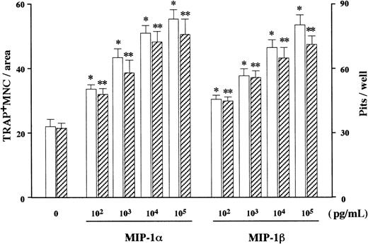 Fig. 2. Effect of rh MIP-1α and MIP-1β on OCL formation and function in vitro. / rhMIP-1α and MIP-1β were added at the indicated doses to rabbit bone cell cultures. The data represent the number of TRAP+MNCs (open bars) and pits on dentine slices (hatched bars). Results were expressed as a mean of 5 samples with an error bar of SD. * and ** indicate significantly different from the control culture in the number of TRAP+ MNCs and pits, respectively (P < .05, ANOVA with Scheffe post hoc tests).