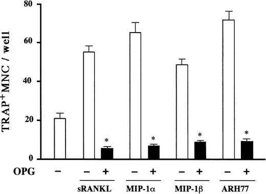 Fig. 7. Inhibitory effects of OPG on osteoclastogenesis induced by MIP-1α, MIP-1β, and MM cells. / Rabbit bone marrow cells were cultured with rh soluble RANK ligand (sRANKL) at 50 ng/mL, rhMIP-1α at 10 ng/mL, and rhMIP-1β at 10 ng/mL, and cocultured with ARH77 cells in the presence (filled bars) or absence (open bars) of OPG at 1 mg/mL. The data represent the number of TRAP+ MNCs and are expressed as a mean of 5 samples with an error bar of SD. * indicates significantly different from the cultures without OPG (P < .05, ANOVA with Scheffe post hoc tests).