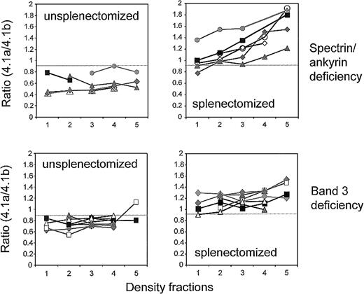 Fig. 4. Band 4.1a/4.1b ratios in density-fractionated RBCs of unsplenectomized and splenectomized patients with spectrin/ankyrin and band 3 deficiencies. / Results are shown for unsplenectomized and splenectomized family members. Spectrin/ankyrin deficiency: AZ15.1/AZ16.1 (closed diamonds); AZ17/AZ18 (closed triangles); HL1/HL2 (open diamonds); EG 5.2/EG 6.2 (closed rectangles); SE1/SE2 (closed circles); and from 2 unpaired patients who did (HE, open circles) and did not (AI 4, open triangles) undergo splenectomy. Band 3 deficiency: AZ1/AZ2 (open triangles); AZ3/AZ4 (gray diamonds); AZ5/AZ4 (AZ5, closed rectangles in fractions 2-4; AZ4, gray diamonds); AZ8/AZ9 (closed rectangles); WR1.1/WR2.1 (closed diamonds); WR4/WR5 (closed triangles); LR1/LR2 (open rectangles).
