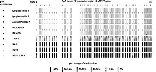 Fig. 4. Methylation status of promoter region ofp57KIP2 gene in CpG islands in 2 samples of reactive lymphadenitis, 1 normal PBMNC sample, and 6 cell lines determined by sequencing after bisulfite modification of genomic DNA. / CpG 1 to CpG 46 correspond to what is depicted in Figure 1. Expression of p57 was detected by RT-PCR, and the percentage of methylation was determined from ratios of methylated cytosine in 10 to 12 sequenced clones.