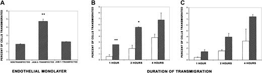Fig. 2. Increased transmigration of MLN lymphocytes across endothelial monolayers expressing high levels of JAM-2. / (A) Nontransfected tEnd.1 cells and cells transfected with either JAM-1 or JAM-2 were cultured in Transwell culture inserts in 24-well plates. Forty-eight hours later, the cultures were washed and 1 × 106 splenic or MLN lymphocytes were added to each filter and incubated for 3 hours. The chemokine mouse SDF-1 was added to the lower chamber. At the end of the assay, transmigrated cells were collected from the lower chamber and counted by light microscopy. The results are expressed as the percentage of cells transmigrated calculated from the mean of triplicate filters (± SD) and are representative of at least 3 independent experiments. (B,C) A time course of transmigration was carried out on monolayers of tEnd.1 cells, either nontransfected (open bars) or transfected with JAM-2 (hatched bars) as for panel A, except that transmigrated lymphocytes were collected at the times indicated. Two representative experiments are shown *P < .05. **P < .01.