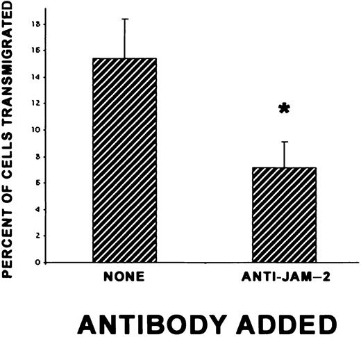 Fig. 3. Anti–JAM-2 blocking of lymphocyte transmigration. / Transmigration assays were carried out as described for Figure 2, except that in some wells, anti–JAM-2 antibody (CRAM-13 H33) was added to the endothelioma monolayers for 30 minutes prior to the addition of lymphocytes. The antibody was left for the duration of the transmigration assay. Results are expressed as the percentage of cells transmigrated, calculated from the mean of triplicate filters (± SD). The degree of inhibition varied between 35% and 50%, and the data presented in this figure are representative of more than 4 experiments; *P < .05.
