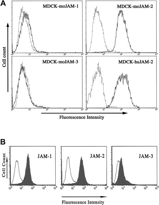 Fig. 5. JAM-2 antibodies cross-react on human JAM-2. / (A) MDCK cells stably transfected with the indicated cDNA were stained with anti–JAM-2 antibody (solid profile) or an irrelevant antibody (dashed profiles). (B) HUVECs were tested for expression of the 3 JAM family members using 3D8 against JAM-1, (left panel, filled profile), CRAM-18F26 against JAM-2, (middle panel, filled profile), or anti–VE-JAM against JAM-3, (right panel, filled profile). Open profiles represent the negative control obtained using the appropriate secondary antibodies alone.