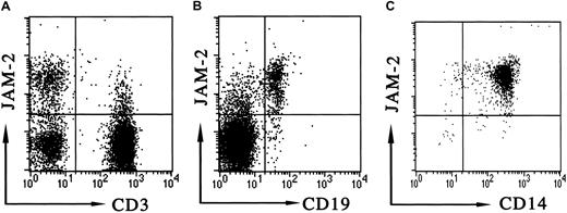 Fig. 8. JAM-2 expression on human PBLs. / Cytofluorometric analysis of JAM-2 was performed on human PBLs. Antibodies used for staining were biotinylated anti–JAM-2 in combination with either (A) anti-CD3 directly conjugated to FITC, (B) anti-CD19 directly conjugated to FITC, or (C) anti-CD14 directly conjugated to FITC, as indicated on the dot-plot axes. The appropriate forward and side scatter gates were used to display lymphocytes (A,B) or monocytes (C).