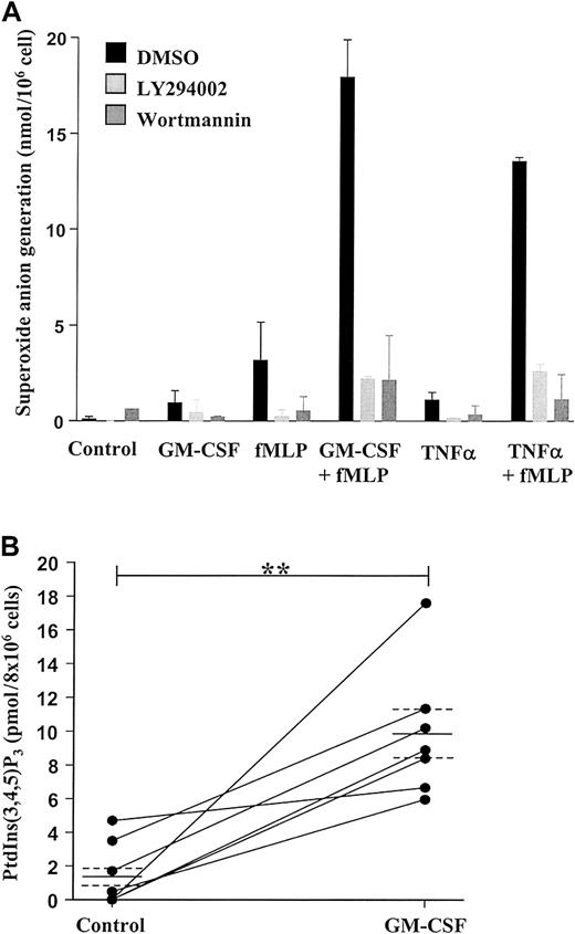 Fig. 1. GM-CSF enhances superoxide anion production and PtdIns(3,4,5)P3 accumulation in peripheral blood neutrophils by a PI3-kinase–dependent mechanism. / (A) Freshly isolated neutrophils (1 × 106 cells) were incubated in the presence or absence of 100 ng/mL GM-CSF or 200 U/mL TNF-α for 30 minutes at 37°C before stimulation with 100 nM fMLP or buffer for 10 minutes, as indicated. Superoxide anion release was determined as detailed in the “Materials and methods” section. GM-CSF and TNF-α significantly enhanced fMLP-stimulated superoxide anion generation. The PI3-kinase inhibitors LY294002 (10 μM) and wortmannin (100 nM) abolished superoxide anion generation under all conditions studied. Data represent the mean ± SD of 2 independent experiments, each performed in triplicate. (B) GM-CSF (100 ng/mL)–stimulated PI3-kinase activity was determined by measuring PtdIns(3,4,5)P3 accumulation at 30 minutes following cytokine addition, as described in the “Materials and methods” section. GM-CSF significantly enhanced PtdIns(3,4,5)P3accumulation compared with time-matched controls. Data represent values from 7 independent experiments, each performed in duplicate, together with mean ± SEM values. **P > .005.