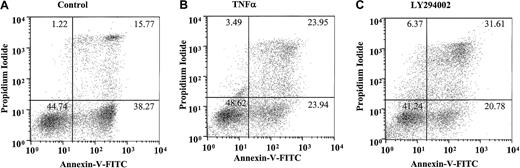 Fig. 4. Effect of TNF-α and LY294002 on AnV and propidium iodide staining in human neutrophils. / Human neutrophils were incubated in the absence (A) or presence (B) of TNF-α (200 U/mL) or LY294002 (10 μM; C) for 20 hours. Cells were harvested and stained with AnV (a marker of PS exposure/apoptosis) and PI (a marker of plasma membrane integrity/postapoptotic necrosis), as detailed in “Materials and methods.” TNF-α and LY294002, while not influencing the ratio of AnV high to low staining, increased the proportion of PI-positive cells within the AnV high pool. Representative data are shown from a single experiment with identical results obtained in 7 independent experiments.