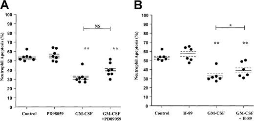 Fig. 5. Effect of the MEK1/2 inhibitor PD98059 and PKA inhibitor H-89 on GM-CSF–stimulated neutrophil survival. / Human neutrophils were cultured for 20 hours in the presence or absence of GM-CSF (10 ng/mL) with or without (A) PD98059 (50 μM) or (B) H-89 (1 μM). Apoptosis was assessed by AnV binding, as detailed in the “Materials and methods” section. Although H-89 caused a significant inhibition of GM-CSF–mediated neutrophil survival, the magnitude of this effect was substantially less than that observed with LY294002. Data represent values from 6 to 7 independent experiments, each performed in triplicate, together with mean ± SEM values. NS indicates not significant. *P < .05 and **P < .005 compared with control, unless otherwise indicated.