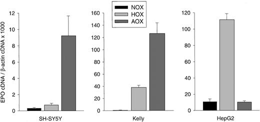 Fig. 1. Hypoxia-inducible EPO gene expression in human NB cell lines. / SH-SY5Y cells, Kelly cells, and the hepatoma cell line HepG2 were grown for 24 hours under normoxic (NOX), hypoxic (HOX), or anoxic (AOX) conditions. Total RNA was prepared, reverse-transcribed into cDNA, and subjected to real-time PCR for EPO and β-actin quantification. EPO cDNA was normalized to β-actin cDNA and expressed as relative units × 1000. Bars represent mean cDNA values (± SD) from 3 separate experiments in which each cDNA was quantitated in triplicate.