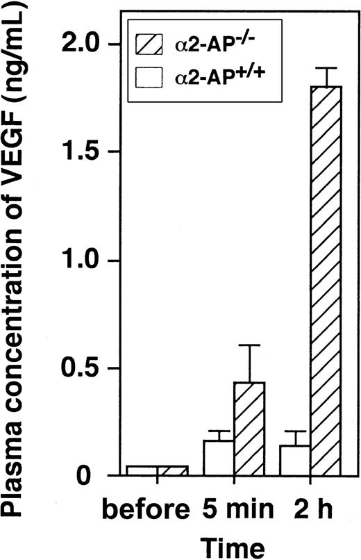 Fig. 3. Change of plasma levels of VEGF after AMI. / Plasma concentration of VEGF is increased following coronary ligation in α2-AP+/+ and α2-AP−/− mice (n = 4).