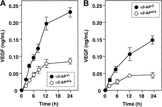 Fig. 4. Spontaneous secretion of VEGF by cultured cells. / Spontaneous secretion of VEGF is increased in VSMC (A) and neonatal ventricular myocytes (B) from α2-AP−/− mice compared with α2-AP+/+ mice. Each point represents the mean of duplicate cultures.