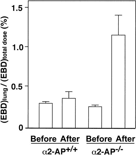 Fig. 6. Lung permeability after AMI. / Determination of lung permeability by EBD assay after coronary ligation in α2-AP+/+ and α2-AP−/− mice. Pulmonary permeability is expressed as the ratio of lung EBD concentration to total administered dose (n = 4).