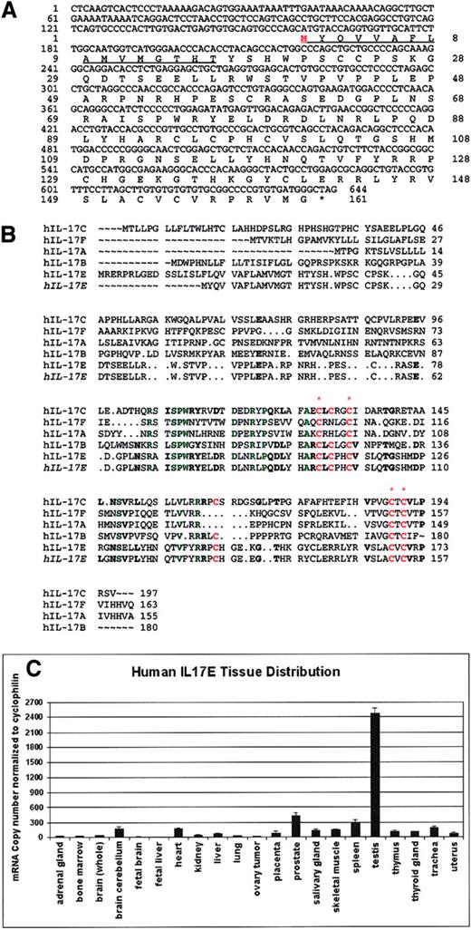 Fig. 1. Sequence of hIL-17E, protein alignment with IL-17 cytokine family members, and human tissue expression. / (A) Nucleotide sequence and predicted protein sequence of hIL-17E molecule (GenBank accession number AF461739). The 3′ untranslated sequence upstream with start Met is indicated in red. Underlined sequence is the predicted signal sequence. (B) Alignment of hIL-17 protein family members with hIL-17E molecule reported herein (indicated in italics). FASTA searches of the Swiss Protein Database revealed hIL-17E conserved cysteine residues (indicated in red; complete conservation among all members indicated by red asterisk) and approximately 25% to 35% homology with all other IL-17 proteins. Other important conserved residues are highlighted in green. Residues conserved with IL-17B and IL-17C are indicated in bold. (C) IL-17E expression in human tissues (RNA purchased from Clontech) byTaqman quantitative analysis.