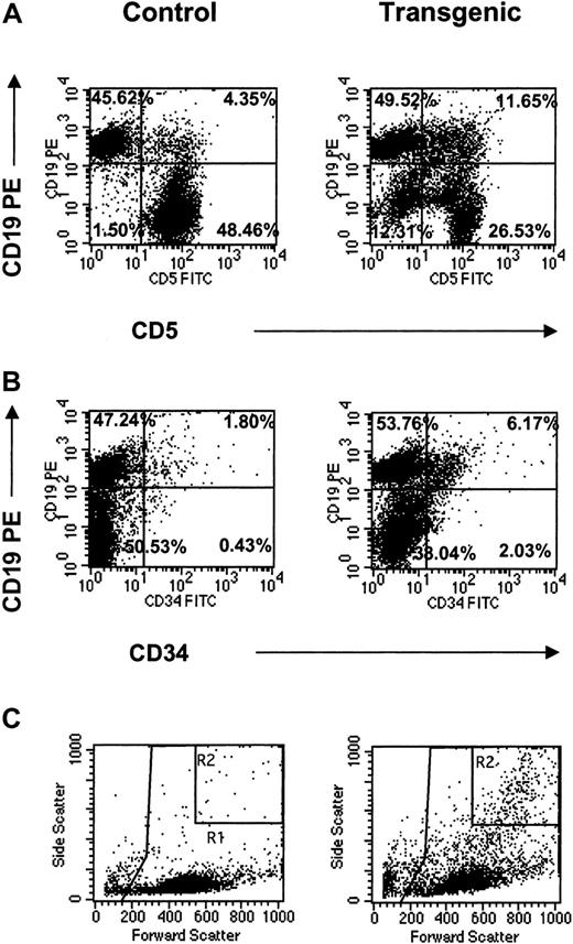 Fig. 6. CD19+ populations in transgenic lymph nodes. / FACS analysis of CD19+ populations in mesenteric lymph nodes from control and transgenic mice analyzed for coexpression of CD5 (A) or CD34 (B) surface antigens. Light scatter plots (C) are also shown with important gates indicated (R1 = total leukocyte gate, on which the fluorescent plots were gated; R2 = increased granular population identified in the transgenic mice). Percentages for all fluorescent populations are indicated. Data are representative of one animal per plot.