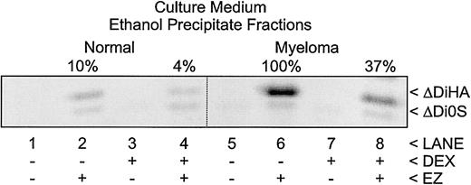 Fig. 3. Relative amounts of hyaluronan in medium from healthy donor and multiple myeloma patient–derived bmMPC cultures. / FACE analysis of HA in the medium ethanol precipitate fractions of bmMPC cultures derived from a healthy donor (lanes 1-4) and a multiple myeloma patient (lanes 5-8). Cultures were incubated as indicated in the presence (+; lanes 3, 4, 7, and 8) or absence (−; lanes 1, 2, 5, and 6) of dexamethasone (DEX) as described in “Materials and methods.” Samples were digested as indicated with (+; lanes 2, 4, 6, and 8) or without (−; lanes 1, 3, 5, and 7) hyaluronidase SD, chondroitinase ABC, and glucoamylase (EZ) as described in “Materials and methods.” The gel image was exposed such that all pixels were within the linear 12-bit depth range required for quantitation. The percent HA detected as AMAC-derivatized ΔDiHA in each culture is listed above each lane and is normalized to the (−) DEX multiple myeloma value in each image. Note the absence of AMAC-derivatized ΔDiHA or ΔDi0S in the absence of enzyme digestion and the similar intensity of the AMAC-derivatized ΔDi0S (the unsulfated disaccharide of chondroitin sulfate) in each sample. Each lane represents 0.5% (1:200) of the total medium sample. Data presented are representative of 4 healthy donors and 4 myeloma patients. Similar results were observed in all donors.