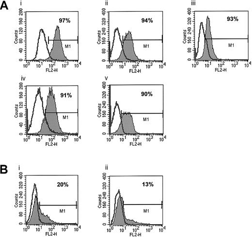 Fig. 1. Expression of CXCR4 on human ARMS and ERMS cell lines. / (A) ARMS cell lines: RhRKMP-4 (i), RH28 (ii), CW9019 (iii), RH5 (iv), and RH30 (v). (B) ERMS cell lines: SMS-CTR (i) and RD (ii). The experiment was repeated 3 times with similar results. A representative study is shown.
