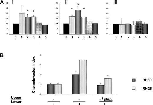 Fig. 8. Adhesion of human RSM cells and chemoinvasion of RH28 and RH30 cells. / (A) Adhesion of human RMS cells to fibronectin or laminin; (i) adhesion to laminin, (ii) adhesion to fibronectin, and (iii) adhesion to BSA. Cells not stimulated with SDF-1 are shown as 100% (0), cells stimulated with SDF-1β are RH30 (1), RH28 (2), CW9019 (3), SMS-CTR (4), and RD (5). Data from 4 separate experiments are pooled together. *Indicates P < .01. (B) Chemoinvasion of RH28 and RH30 cells across the Matrigel barrier. Cells invading the Matrigel were counted on the undersides of the filters as described in “Materials and methods.” Results are expressed as a chemoinvasion index. Left part of the panel shows the number of cells crossing the Matrigel in the absence of an SDF-1 gradient (−/−), and middle panel the number crossing in the presence of an SDF-1 gradient (−/+). Right part of panel shows reduced chemoinvasion toward an SDF-1 gradient after preincubation of cells with the MMP inhibitoro-phenanthroline (phen/+). Data from 3 separate experiments are pooled together and means ± SD are shown.