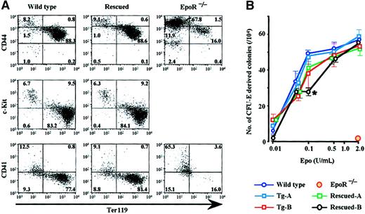 Fig. 4. Fetal liver hematopoiesis in rescued embryos. / (A) Analysis of E12.5 fetal liver hematopoietic cell populations. Single cell suspensions were stained with anti–c-Kit, -Ter119, -CD41, and -CD44 antibodies, and these cells (1 × 104) were analyzed by FACS. PI-negative cells were gated, and the intensity of fluorescence was measured. The ratio of cells in each quadrangle is shown. (B) Fetal liver cells were cultured for 2 days in methylcellulose medium containing various concentrations of Epo, and erythroid colonies were counted after benzidine staining. *P < .01 compared with wild-type mouse.