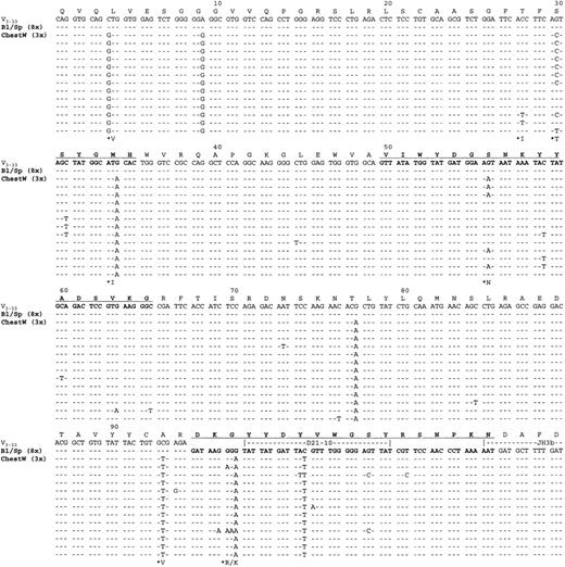 Fig. 1. Tumor-derived VH gene and deducted amino acid sequences from case 1. / VH sequences from blood (Bl), spleen (Sp), and chest wall (ChestW) are aligned against the germ line gene counterpart (V3-33). Dashes represent identity with the germline sequence. Replacement amino acid changes observed in more than one clone are starred. CDRs are in bold type and underlined. Amino acid numbering is according to Kabat et al.22