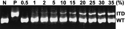 Fig. 2. Sensitivity of PCR detection of FLT3/ITD. / gDNA isolated from a patient relapsing with a 100% FLT3/ITD level (patient 1) was diluted by mixing with various amounts of DNA from the HL-60 cell line (FLT3/ITD−) to yield final concentrations of positive DNA at levels of 0.5%, 1%, 2%, 5%, 10%, 15%, 20%, 25%, 30%, and 35%. Undiluted HL-60 DNA served as a negative control (N) and undiluted DNA from patient 1 as a positive control (P). PCR was performed as described in “Materials and methods.” ITD indicates FLT3/ITD allele; WT, wild-typeFLT3 allele.