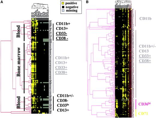 Fig. 7. Clustering analysis of MDS patients and controls according to the immunophenotype of CD45+/SShigranulocytes. / (A) Hierarchical clustering analysis of granulocytes from BM and peripheral blood of control samples. (B) Hierarchical clustering analysis of granulocytes from BM samples of MDS patients.