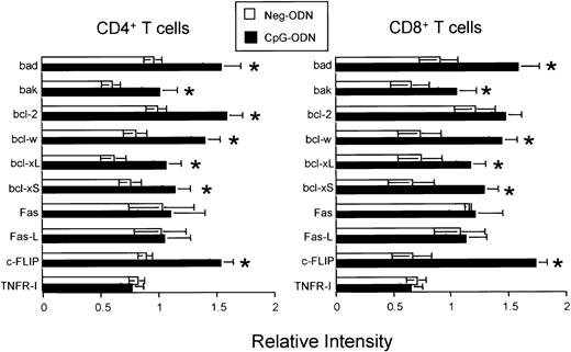 Fig. 6. Effect of CpG-ODN therapy in the T-cell RNA levels for various apoptotic-related genes. / CD4+ (A) or CD8+ (B) T cells were purified from untreated, CpG-ODN– (black bars), or Neg-ODN–treated (white bars) mice one day after the final ODN injection. Total RNA was isolated, and the amounts of specific transcripts were determined using a custom-designed RNA protection assay containing the indicated genes. After normalization against a housekeeping gene (GAPDH), the expression of each gene from the ODN-treated groups was compared with the expression observed in the untreated mice. Results represent the expression levels for each transcript found in ODN-treated mice over the untreated controls. The asterisks represent a greater than 33% increase in gene expression. The error bars represent the standard errors of means obtained from 3 different experiments.
