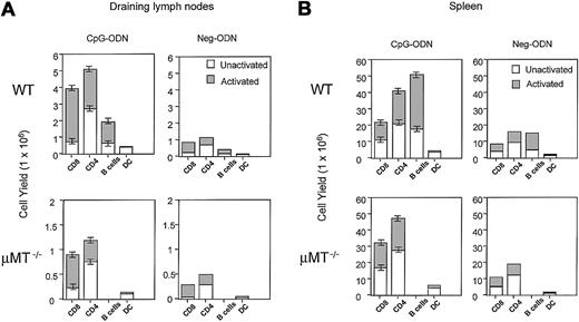 Fig. 9. The CpG-ODN–induced expansion of CD4 and CD8 T cells is not dependent on the presence of B cells. / C57BL/6 mice and μMT−/− (B-cell deficient) mice underwent 9 daily injections of CpG-ODN or Neg-ODN. One day after the last ODN injection, the draining axillary lymph nodes (A) and spleens (B) were harvested. Cell numbers for each subset were estimated by flow cytometry as described in the legend of Figure 8.