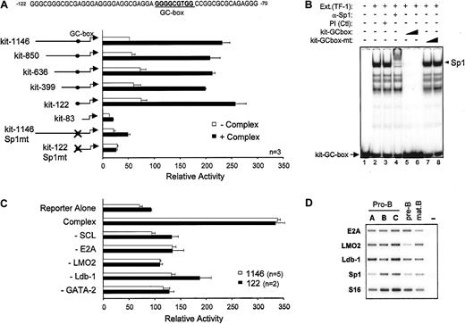 Fig. 4. Role of the Sp1 binding site in c-kitpromoter activation by the SCL complex. / (A) Deletion or point mutation of a GC-box impairs c-kitpromoter activation by the SCL complex. NIH 3T3 cells were transfected with mutant c-kit reporter constructs in the absence (open bars) or presence (solid bars) of the SCL complex. Luciferase activities were normalized to the activity of CMV-βgal. Thec-kit promoter GC-box and surrounding sequences from position −122 to −70 are indicated. (B) Sp1 is the main factor that binds to the c-kit promoter GC-box in TF-1 cells. Electrophoretic mobility shift assays (EMSAs) were done with the use of 32P-labeled kit-GC-box probe and TF-1 cell nuclear extracts. Supershifting was performed with a preimmune serum (Ctl) and an anti-Sp1 antibody (lanes 1-4). Competition assays (lanes 5-8) were done with the use of a 10- and 100-fold molar excess of unlabeled kit-GC-box or kit-GC-box-mt double-stranded oligonucleotides. The plus and minus signs indicate, respectively, inclusion or omission of specific ingredients. Arrowhead points to the major Sp1 complex, while arrow points to free probe. (C) All partners of the SCL complex are required for maximal c-kit promoter activation. Expression vectors for SCL, E47, LMO2, Ldb-1, and GATA-2 were cotransfected with the kit-1146 (open bars) or kit-122 (solid bars) reporter plasmids. Where indicated (−), the corresponding vectors were omitted from the transfection mixtures. For panels A and C, results are shown as luciferase activity relative to the empty pXPIII vector and are representative of (n) independent experiments. (D) Partners of the SCL complex are expressed in B-cell precursors in which SCL induces endogenous c-kit expression. Bone marrow B-cell precursors from WT mice were purified by flow cytometry as in Figure 1C, and expression of SCL partners was assessed by RT-PCR. S16 was used as a control for the amount of cDNA.