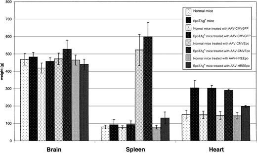 Fig. 4. Analysis of organ weights in the Epo-TAghand healthy mice at the end of the experiment. / Healthy mice, Epo-TAgh mice, healthy mice treated with AAV-CMVGFP, Epo-TAgh mice treated with AAV-CMVGFP, healthy mice treated with AAV-CMVEpo, Epo-TAgh mice treated AAV-CMVEpo, healthy mice treated with AAV-HREEpo, Epo-TAgh mice treated AAV-HREEpo. Average weights of organs are plotted ± SD (n = 4-6). Spleens in the AAV-CMVEpo–treated groups are significantly enlarged. Hearts of Epo-TAgh mice are enlarged compared with those of healthy mice. This enlargement was partially reversed after treatment with the AAV-HREEpo vector that physiologically corrected the hematocrit. In this experiment, AAV-CMVEpo–treated mice were culled on day 76, and all other mice were culled on day 218.
