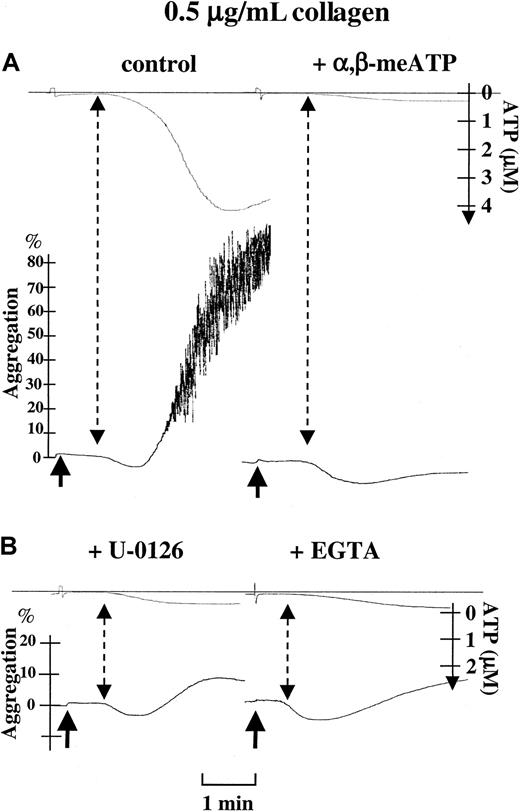 Fig. 4. Role of P2X1-mediated ERK2 activation in platelet ATP secretion and aggregation induced by low concentrations of collagen. / Parallel recordings of light transmission (%) and ATP secretion (μM) in hirudinized PRP during platelet stimulation with 0.5 μg/mL collagen alone (control), in the presence of 0.5 μM α,β-meATP, after a 2-minute preincubation with 1 μM U0126, or in the presence of 10 mM EGTA, as indicated. Arrows represent the time of application of collagen. Dashed arrows indicate the moment of initial detection of ATP during platelet aggregation. Percentages of light transmission, the concentrations of ATP released, and the time bar are included.