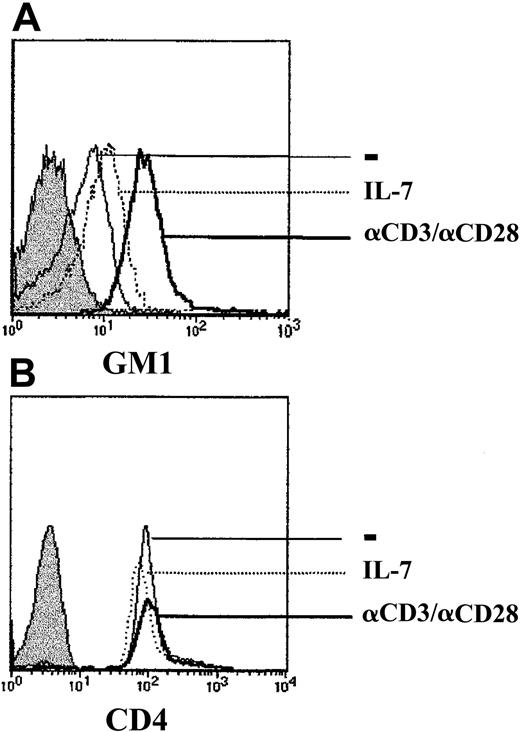 Fig. 6. Up-regulation of the raft marker GM1 in TCR-stimulated but not IL-7–stimulated CD4+ lymphocytes. / CD4+ T cells were cultured for 4 days in the presence of media alone (−), recombinant IL-7 (IL-7), or immobilized αCD3 and αCD28 mAbs. Expression of the ganglioside GM1 was assessed using FITC-conjugated cholera toxin B. Unstained control cells are shown by a filled histogram. CD4 surface staining was performed using an αCD4-PE mAb, and staining of cells in each of the 3 culture conditions is shown. Histograms are representative of data obtained in 3 independent experiments.
