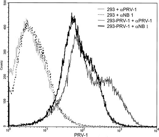 Fig. 8. The PRV-1 protein is recognized by an antibody raised against NB1. / 293 cells stably transfected with the PRV-1 cDNA (solid lines) as well as untransfected control cells (dashed and stippled lines) were incubated with an antibody against PRV-1 or an antibody against NB1, as indicated, and analyzed by FACS.