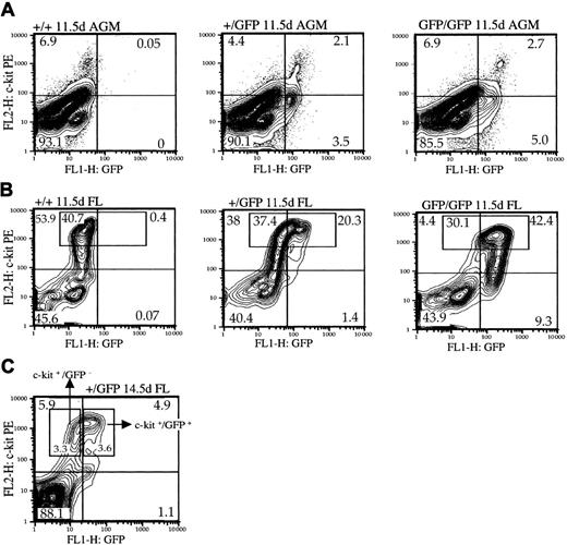 Fig. 4. Cbfβ is expressed in c-kithi cells in AGM and fetal liver embryos. / Cells were isolated from 11.5-dpc AGM (A) and fetal liver (B) ofCbfb+/+ (+/+), Cbfb+/GFP(+/GFP), and CbfbGFP/GFP (GFP/GFP) embryos and stained with c-kit PE. Representative contour plots show the distribution of cells with respect to GFP and c-kit fluorescence. (C) Cells were isolated from fetal liver of 14.5 dpcCbfb+/GFP embryos and sorted into c-kit+/GFP− and c-kit+/GFP+ populations by FACS. Progenitors in each of these populations (sorted and unsorted) were assessed by methylcellulose colony assay. The data from the methylcellulose colony assays are shown in Table 2.