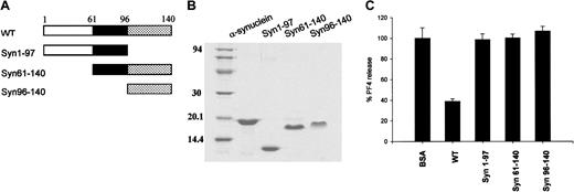 Fig. 5. Fragments of α-synuclein have no effect on ionomycin-induced PF4 release from platelets. / (A) Diagram of the wild-type α-synuclein and its deletion mutants. (B) Purified proteins of α-synuclein, α-synuclein fragments (Syn1-97, Syn61-140, Syn96-140) were separated on 12% SDS polyacrylamide gel and stained with Coomassie brilliant blue R-250. (C) Both N-terminally and C-terminally truncated α-synuclein proteins did not appear to inhibit the ionomycin-induced PF4 release from platelets. For these experiments 10 μM synuclein proteins was used, and the PF4 released was measured as in Figure 1.