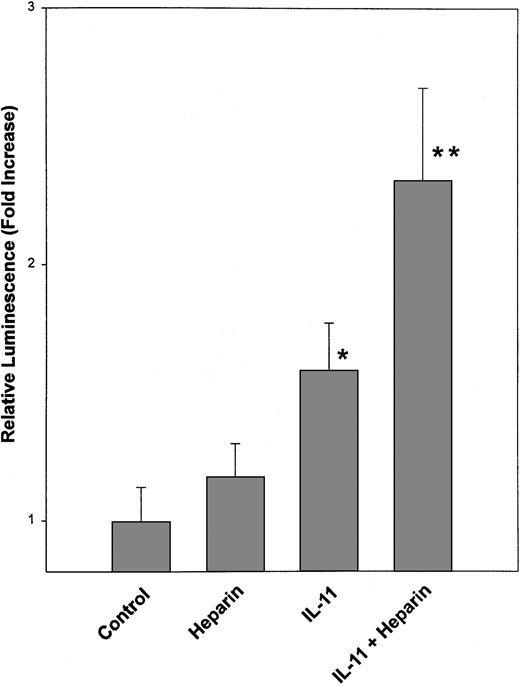 Fig. 4. Transcriptional activation of SIE-luciferase by STAT3 in heparin- and IL-11–treated calvaria cells. / Calvaria cells were transiently cotransfected with a 3 × SIE-luciferase reporter plasmid and a Renilla luciferase expression plasmid. The cells were then either left untreated or treated with 25 μg/mL heparin, 20 ng/mL IL-11, or a combination of heparin and IL-11 (25 μg/mL and 20 ng/mL, respectively). Twenty-four hours later the cells were lysed and luciferase activities were determined using the Dual Luciferase Reporter (DLR) Assay System as described in “Materials and methods.” Data are expressed as a mean ± SEM of 3 separate experiments. *P < .01 when luciferase activity was compared with that obtained from untreated calvaria cells. **P < .05 when luciferase activity was compared with that obtained from calvaria cells treated with IL-11 alone.