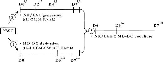 Fig. 1. Outline of the experimental protocol in 12 children with a stage 4 NB. / PBSCs, collected by cytapheresis, were mobilized by G-CSF with or without chemotherapy and cryopreserved for ASCT. After thawing, samples were split into parallel cultures for MD-DC differentiation and NK/LAK generation, during 1 week. Cocultures of NK/LAK ± MD-DCs were performed in most conditions at a 1:1 ratio for the next 7 days. Cultures were followed by immunophenotyping, cytotoxicity assay, and mixed lymphocyte reaction.