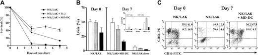 Fig. 4. Effect of autologous MD-DCs on survival and activation of rIL-2–deprived NK/LAK cells. / Autologous MD-DCs sustain survival and activation of rIL-2–deprived NK/LAK cells. NK/LAK cells with or without MD-DCs were cultured at a 1:1 E/T ratio for 7 days in RPMI 1640 with 10% human AB serum without IL-2 at 1 × 106 cells per milliliter. (A) At days 3, 5, and 7, viable lymphocytes were counted after trypan blue exclusion of dead cells, and mean ± SEM (n = 7) percentages of CD56+CD3− NK/LAK cells were determined by flow cytometry. Survival values were determined as the percentages of live CD56+CD3− total numbers at days 3, 5, and 7 compared with day 0. In comparison, mean ± SEM (n = 3) survival percentages of NK/LAK cells alone left in culture with IL-2 (1000 IU/mL) is reported. (B) Cytotytic activity of day-7 cocultures of bulk NK/LAK cells (n = 10) or CD3− and CD3+ immunopurified subsets (n = 3, inset) with or without MD-DCs. Results are presented as mean ± SEM percentages of lysis at a 6.25:1 E/T ratio against K562 (white bars), Daudi (gray bars), and NB1 (black bars). (C) Immunophenotyping of cocultures was performed by 4-color flow cytometry with the use of the combination of FITC-, PE-, PerCP-, and APC-conjugated mAbs CD16/CD56/CD3/CD45. One representative experiment showing the persistence of CD3−CD56brightCD16+ NK/LAK cells in a day-7 coculture with MD-DCs is presented.